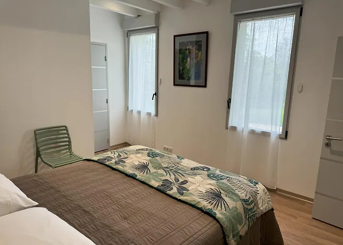 Holiday home Armandine - Sejour Paisible Au Coeur Du Tarn Proche De Cordes-sur-ciel *