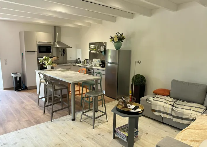 Armandine - Sejour Paisible Au Coeur Du Tarn Proche De Cordes-sur-ciel Holiday home